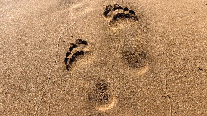 Rausch am Rande des Niedergangs