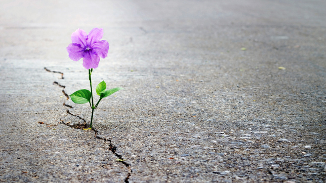 Trümmer und Träume