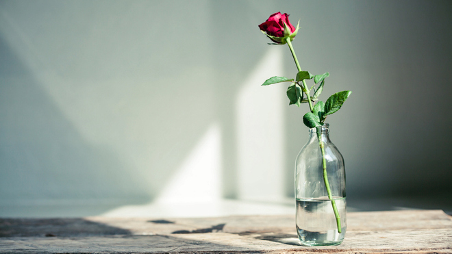 Gott ist doch nicht tot