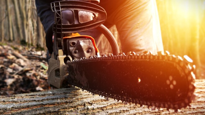 Das Fest der Motorsäge