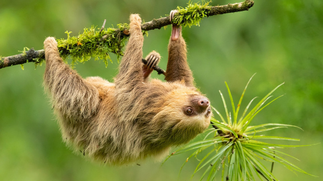 Requiem für die Effizienz