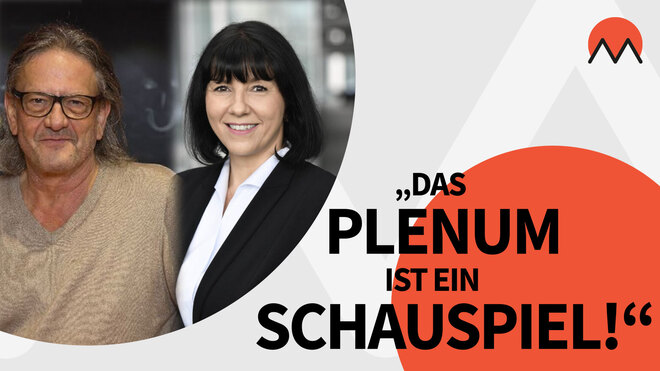 Der parlamentarische Selbstbedienungsladen