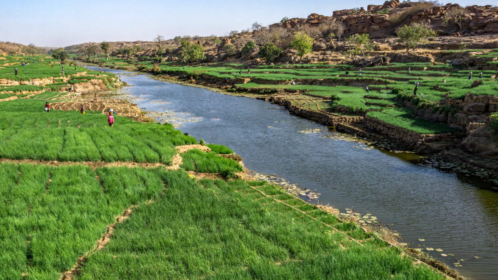 Agrarökologische Wende in Afrika